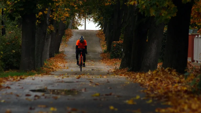 Seasonal Cycling: Tips for Year-Round Riding Adventures